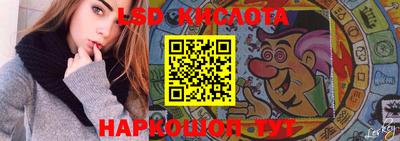 стафф Гусев