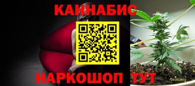 стафф Гусев