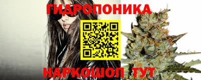jwh Гусь-Хрустальный