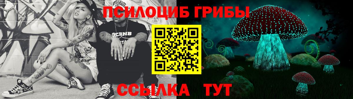 Галлюциногенные грибы Psilocybe  Галлюциногенные грибы мицелий  Вход с VPN  Дальнегорск 