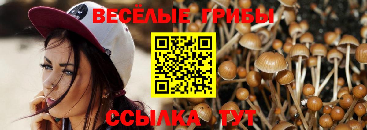 Галлюциногенные грибы мицелий Дальнегорск